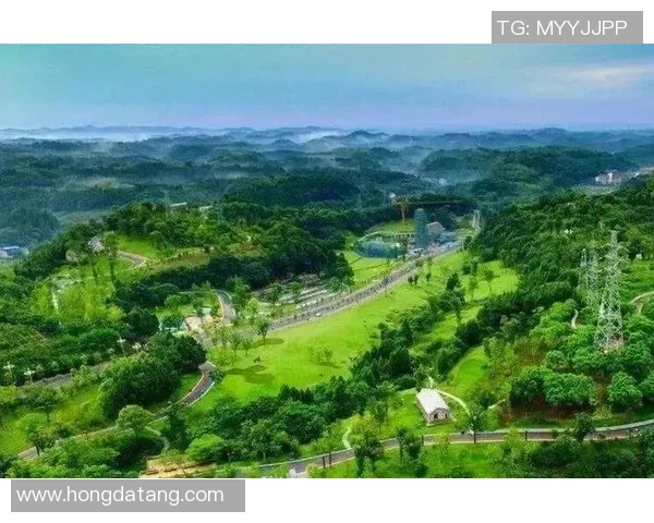 11月1日开跑！又一场国际级赛事行将燃动简阳